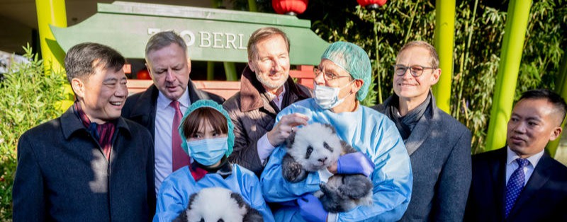 Preis-Pandamie beim Zoo Berlin