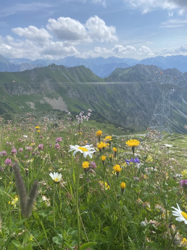 Urlausbgrüße on Dirk Lilie aus dem Allgäu