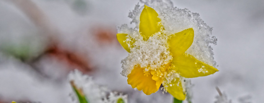 Strammer Nordwind und Kälte treffen auf Berlin