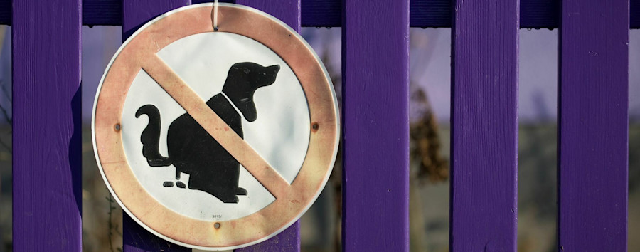 Kotproben mit Konsequenzen: Einwohner fordert DNA-Kataster für Hunde