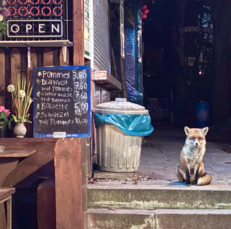 Top 3 Kiekste des Monats Januar: Detlef Simbritzki