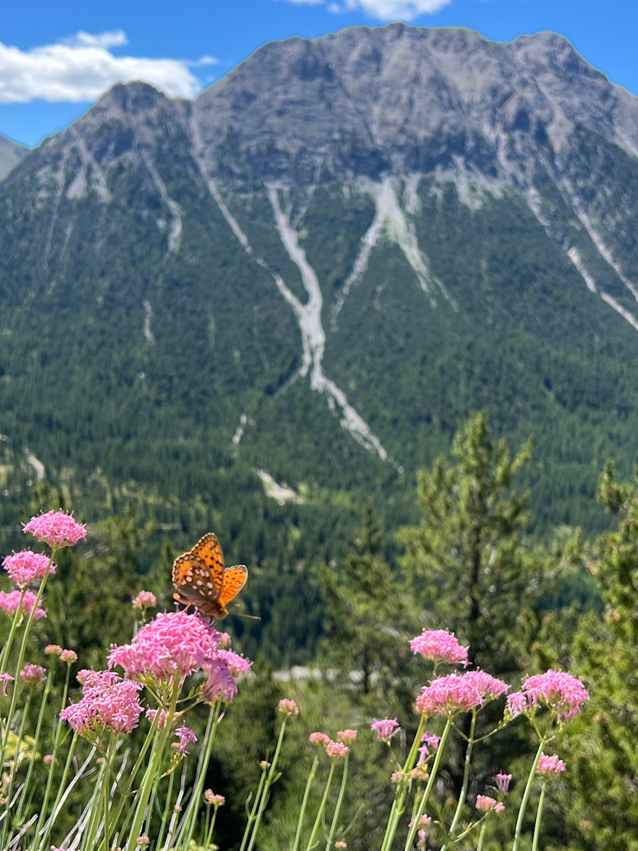 Urlaubsfoto von Pamela Thiele