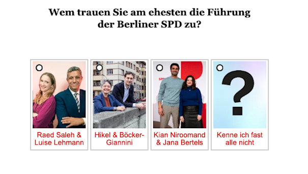 Umfrage/Opinary Wahl SPD-Vorsitz