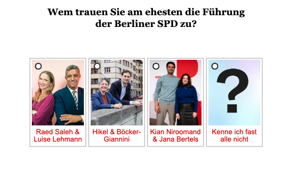 Umfrage/Opinary Wahl SPD-Vorsitz