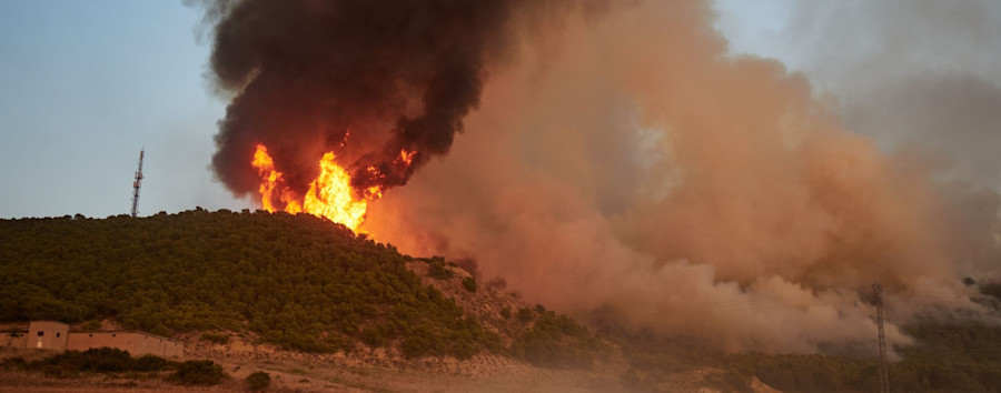 Waldbrände in Südeuropa: Berlin kann keine Unterstützung leisten