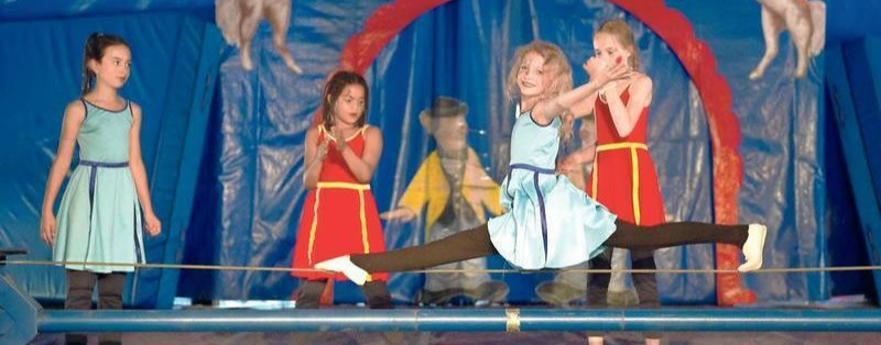 Betreiber ratlos: Einbruchserie in Berlins beliebtem Kinder- und Jugendzirkus Cabuwazi