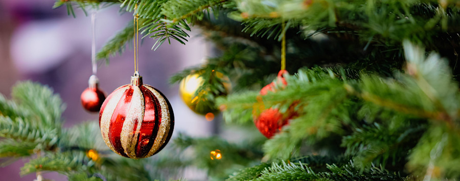 Last-Minute-Weihnachtsgeschenke: Geschenktipps der Berliner Senatorinnen und Senatoren