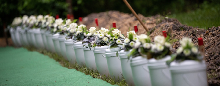 Staub zu Staub: Berliner SPD will Leichen-Kompostierung ermöglichen