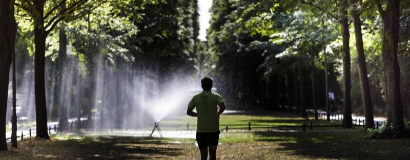 Mitte brauchte fürs Stadtgrün 2019 drei Mal so viel Wasser wie 2010
