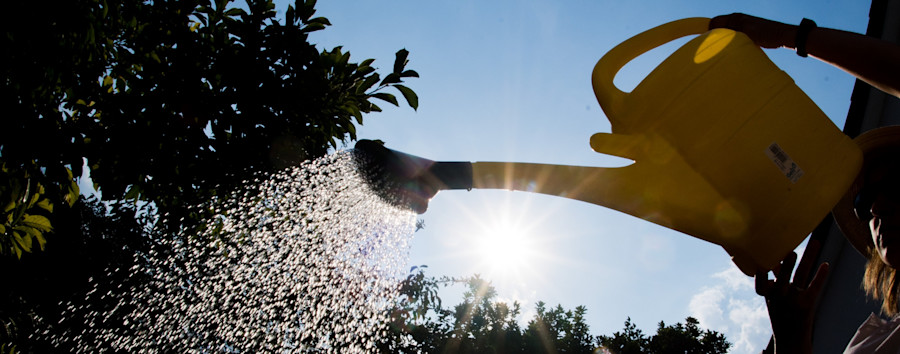 Amt, aber glücklich: Zum Bäumchengießen