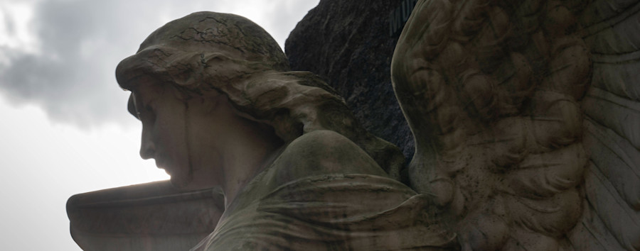 Forderung der Berliner Tierschutzpartei: Sind Mensch-Tier-Bestattungen in Treptow-Köpenick künftig möglich?