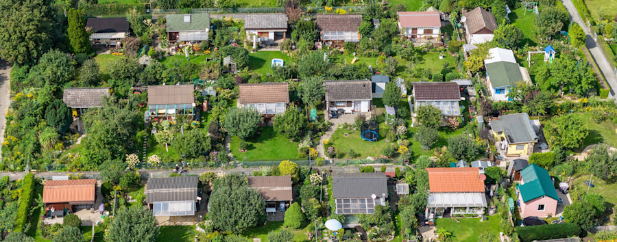 Andrang auf Berlins Kleingärten hält an: Das rät der Kleingartenverbands-Präsident Suchenden