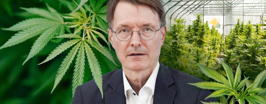 Geplante Cannabis-Legalisierung: SPD-Gesundheitsminister will mit der Jugend in Berlin ins Gespräch kommen