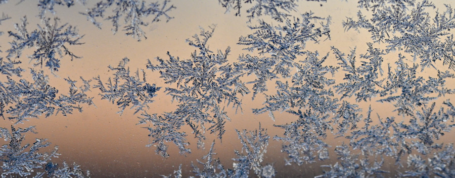 Wintersonnenwende in Berlin: Warum (und wo) es ab jetzt langsam heller wird