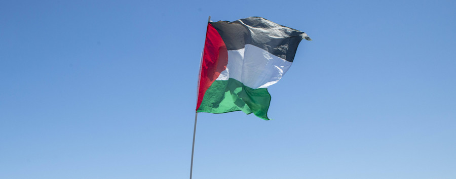Witterung soll Farbe entfernen: Baum am Oranienplatz mit Palästina-Flagge bemalt