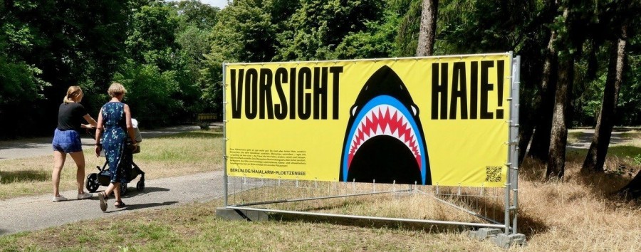 Bezirk will Wildbaden unterbinden: Mitte verlängert den Hai-Alarm am Plötzensee