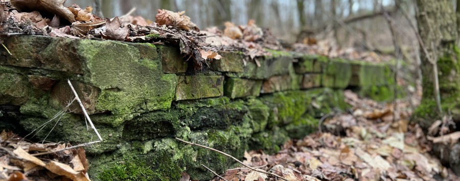 Rückkauf in Zehlendorf gescheitert: Wolffsohn beklagt „geschichtsethische Hornhaut“ der Politik