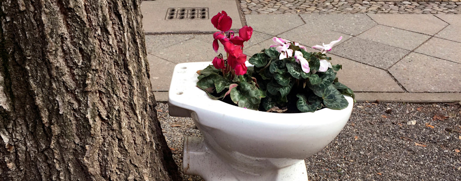 Auf dem Weg zum neuen Kloationsvertrag?