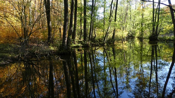 Rausfahren: Bäche und Schluchten im Naturpark Schlaubetal
