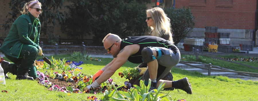 Mit Pflanzen und Menschen sprechen: Berliner Bezirk sucht Gärtner mit besonderen Fähigkeiten