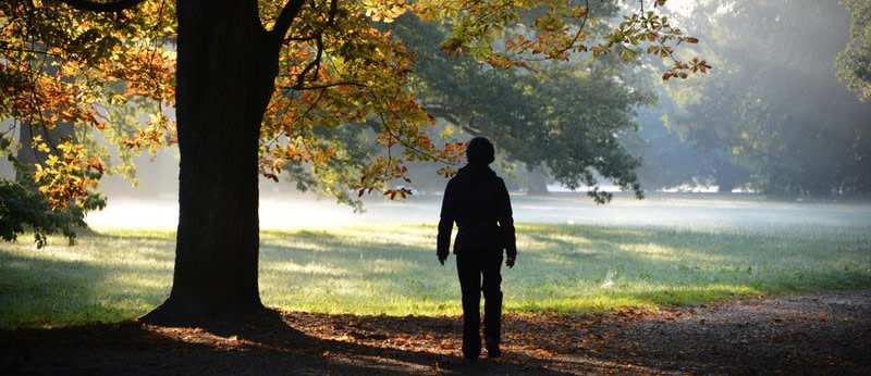 Mit lauwarmem Pflaumenkuchen gestärkt geht's zum Herbstspaziergang