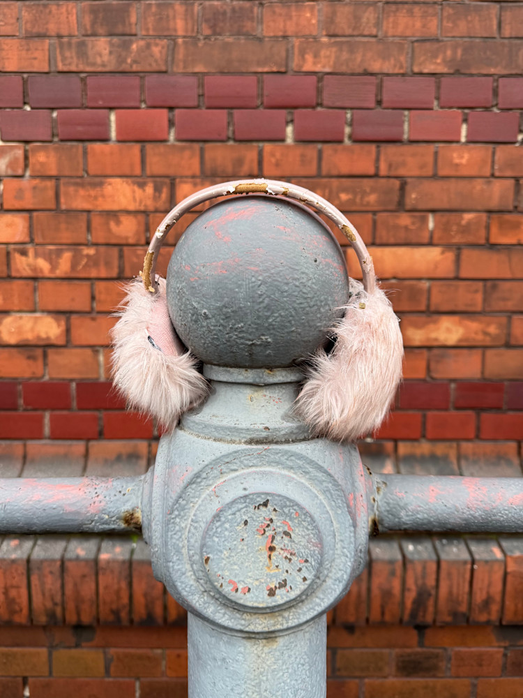 Top 3 KIEKSTE des Monats Februar: Tina Kisseberth