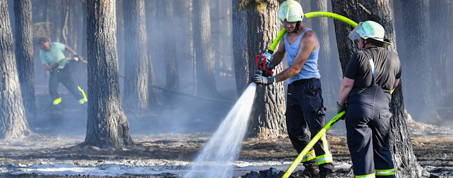 57 Waldbrände in den letzten zehn Jahren: Berlin will neue Feuerlöschbrunnen in Wäldern errichten
