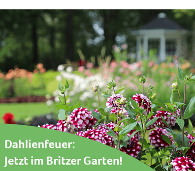 https://ar.tagesspiegel.de/r?t=https%3A%2F%2Far.tagesspiegel.de%2Fr%3Ft%3Dhttps%253A%252F%252Fwww.britzergarten.de%252Fevents-erleben%252Ffuehrungen%252F