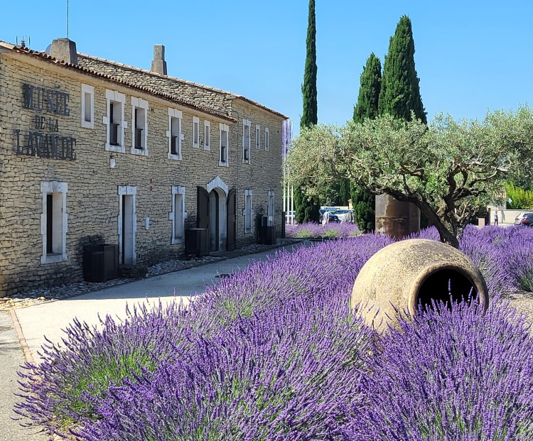 Uwe Schiffmann Provence