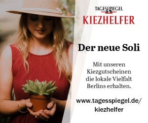 https://www.tagesspiegel.de/kiezhelfer