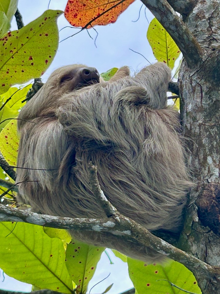 Grüße von Thomas Kühlberg aus Costa Rica