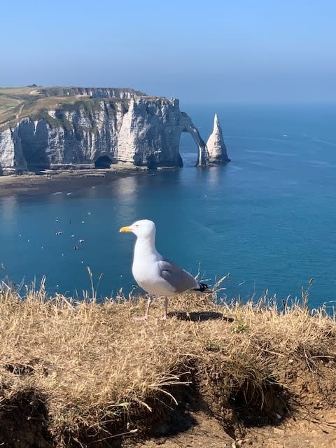 Foto Karin Kenneweg (Normandie)