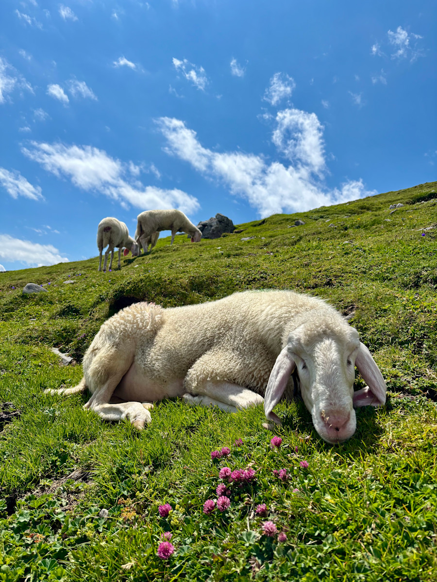 Urlaubsgrüße von Felicitas Stelzer ( Karwendel, Zugspitze)
