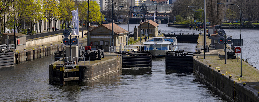 5,6 Millionen Euro für eine Fischtreppe: Damit auch der Wels hochkommt – obwohl es davon nur 67 in Berlin gibt