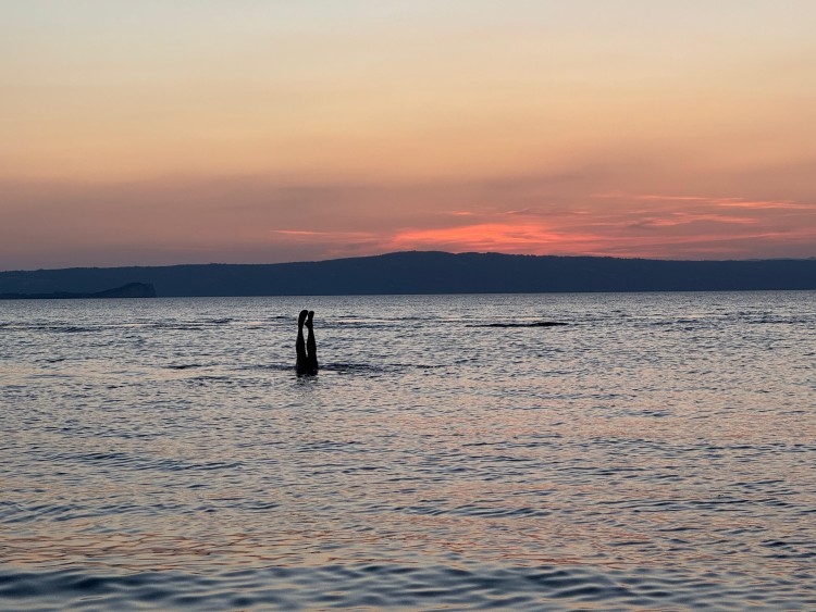 Urlaubsgrüße vom Lago di Bolsena