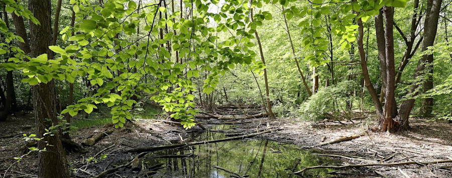 Checkpoint unterstützt Klima-Projekt „MoorFutures“