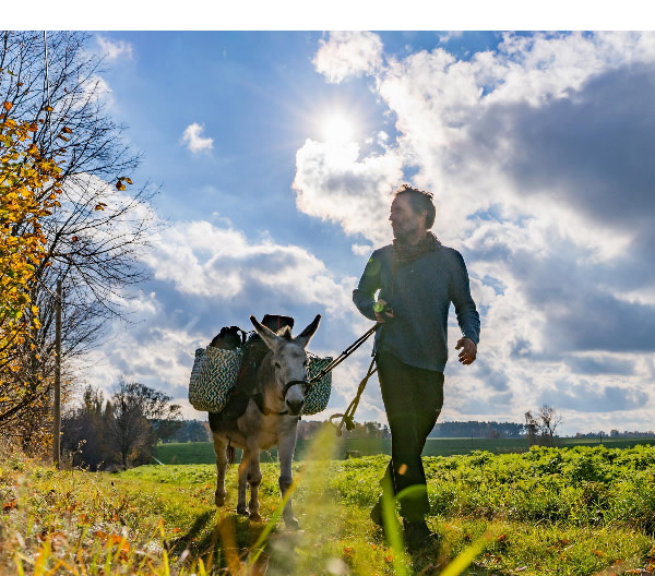 https://ar.tagesspiegel.de/r?t=https%3A%2F%2Fwww.reiseregion-flaeming.de%2Fflaemingerloewen%2Fjan-prowaznik%2F%3Futm_source%3Dtagesspiegel_nl%26utm_medium%3Dbildtext%26utm_campaign%3Dflaeminger_loewen