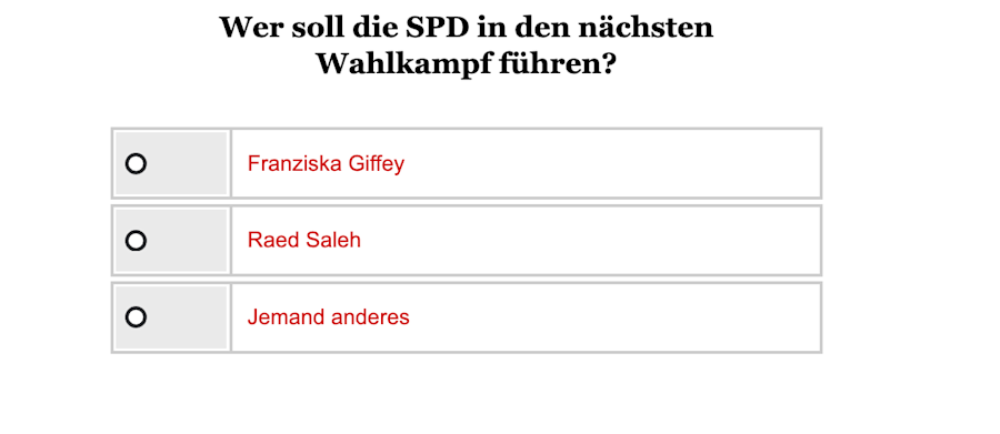 Opinary: Wer soll die SPD in den nächsten Wahlkampf führen?