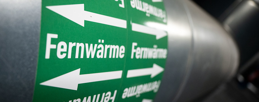 Heizkraftwerke stellen auf Holz um: Verheizt Berlin bald Brandenburgs Wälder?