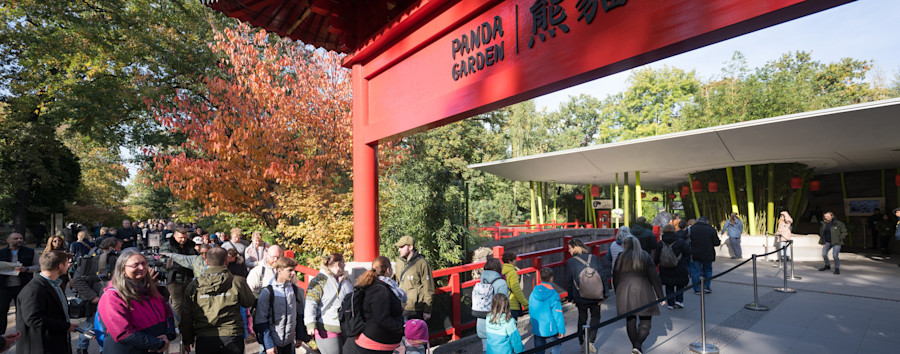 Pandas und Preisschwankungen: „Dynamisches Preissystem“ in Zoo und Tierpark