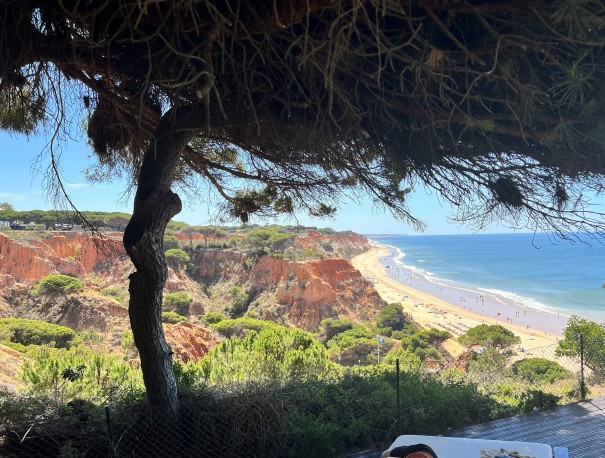 Foto August Langenbrinck (Olhos de Água, Portugal)