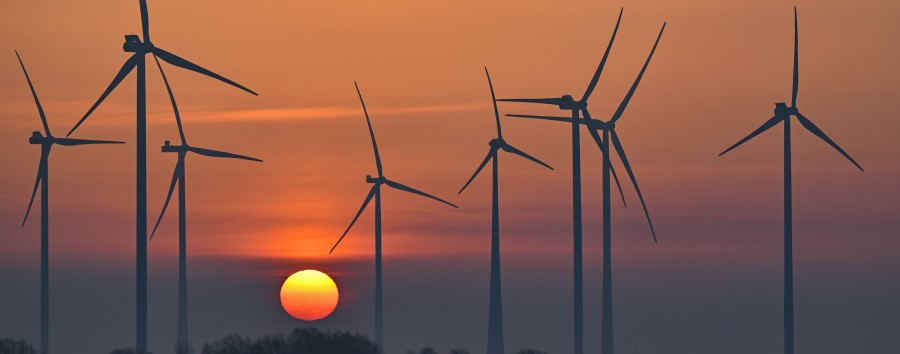 Windkraft deckt 44 Prozent des Bedarfs: Strom in Berlin und Umgebung wird grüner – auch wegen der Wirtschaftskrise