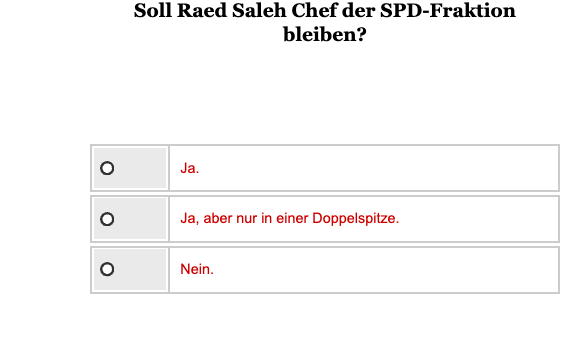 Opinary Raed Saleh SPD-Fraktion