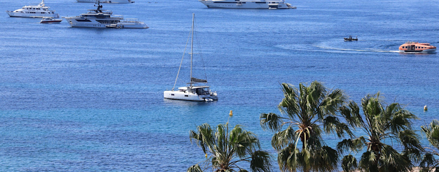 Immobiliendeals unter Palmen: Senat bucht Premium-Stand auf Immobilienmesse in Cannes