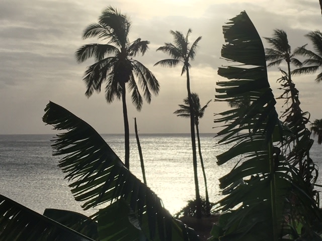 Grüße von Alex Engel aus Hawaii