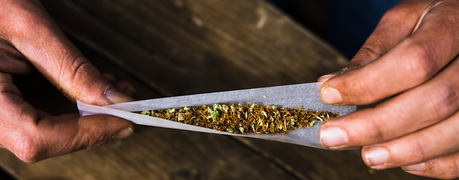 Cannabis-Legalisierung auf der Kippe? Berliner Anbauverein bleibt entspannt