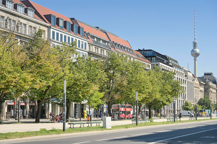 „Volksentscheid Baum“: Bürgerinitiative trifft auf Schweigen der Bezirksämter