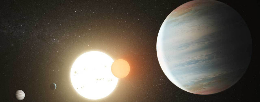 Wahl-Horoskop: Das sagen die Sterne – und ein Orakel-Hund