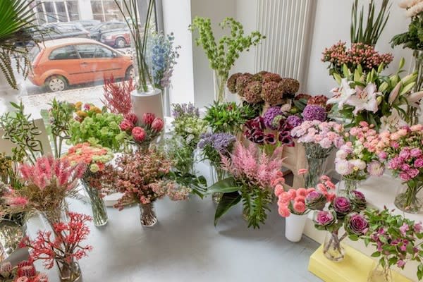 Japanischer Ahorn und Geigenfeige von Heyday Flowers