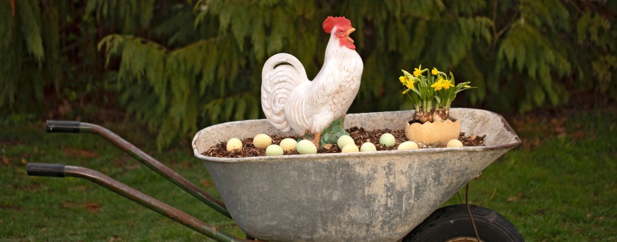  „Hennen wissen doch nicht, dass Ostern ist!" Wo kommen all die zusätzlichen Ostereier her?
